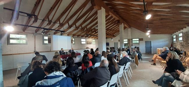 Más allá del testigo. Primo Levi y el estatuto del testimonio